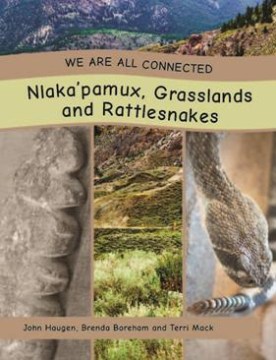 cover_image
